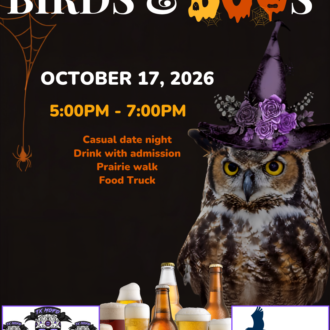 Birds And Boos - logo